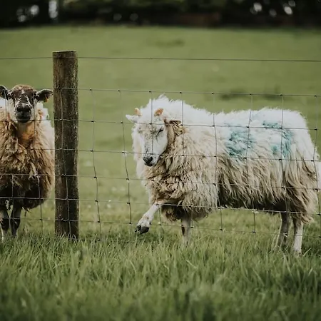 Holiday home The Gatelodge, Hilton Park *