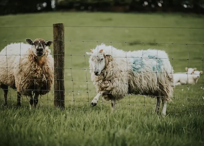 Casa vacanze The Gatelodge, Hilton Park *