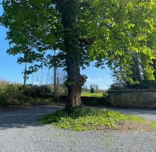 The Gatelodge, Hilton Park