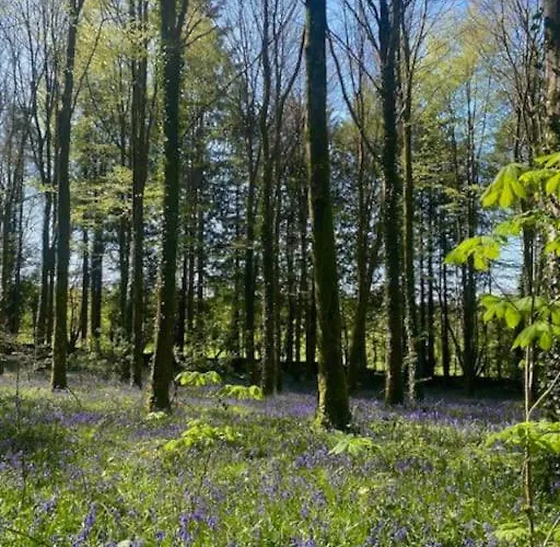 Casa vacanze The Gatelodge, Hilton Park